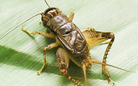 ���^��300����ӛ