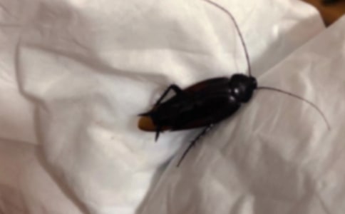 �������400�ּ��\(7ƪ)