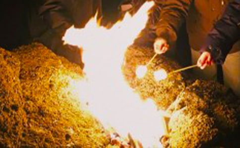 2016�W(xu��)У������������~