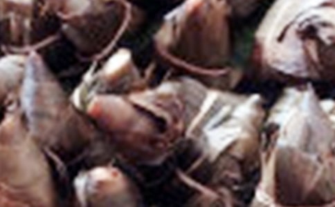 ��������ӛ200��