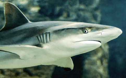 С���~��؝������