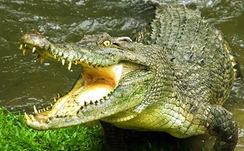 ��ӛ�����{�~���@