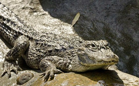 С�W�������{�~����ӛ