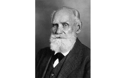 ���͸�����æ���x��(sh��)�Pӛ