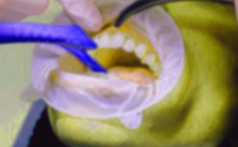 ������(j��ng)�v����600��10ƪ