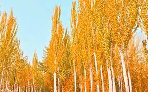 С�W(xu��)ٝ���ח��(sh��)������