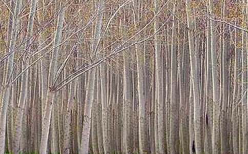 �ח�����ă�(y��u)�㷶��