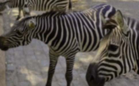 �P(gu��n)�����������ĶY׌���R����ͨ��29ƪ��