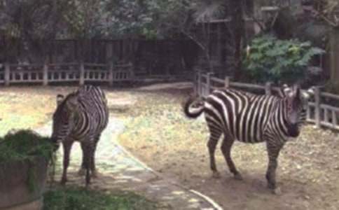 ���R��С�W(xu��)����