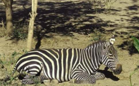 ���]�����R������15ƪ