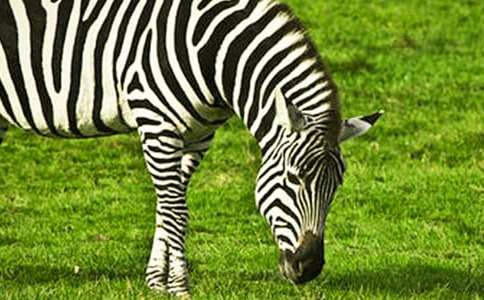 �P(gu��n)�ڶY׌���R��������