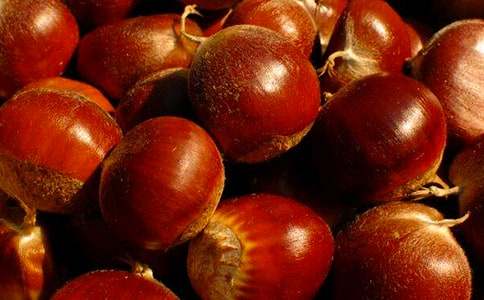 ����Ʒ����������500��28ƪ