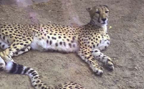 �����]����������500��4ƪ