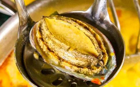 鮑魚殼上的發(fā)現(xiàn)作文