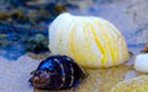 �P(gu��n)��ؐ�����ģ�ͨ��50ƪ��