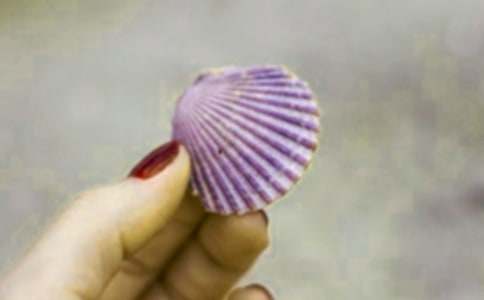 �P(gu��n)�ړ�ؐ������3ƪ