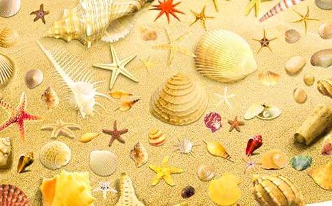 ��߅ʰؐ������