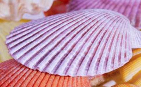 關(guān)于貝殼作文九篇