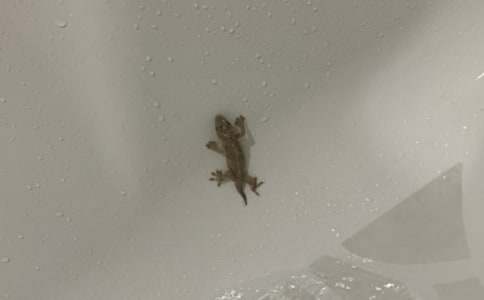 �ͱڻ����C��̎����