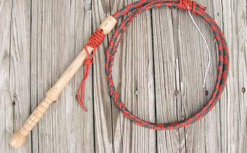 何時(shí)這桿鞭子才能放得下初一作文