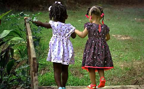 我的未來表姐夫初二作文