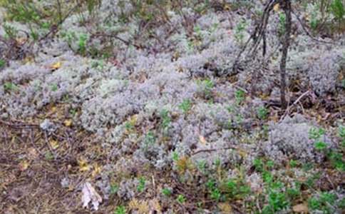 ��ʲô������ô��߀���±�����x��