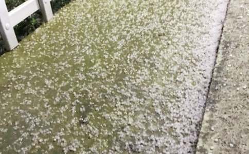 �����ĳ�������