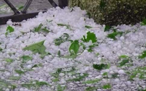 �����A����������300��25ƪ