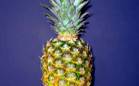 ���}����600����ƪ