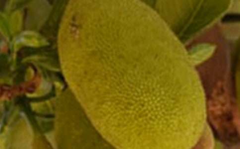 ���}�ۘ����ģ�ͨ��5ƪ��