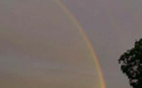 ����(j��ng)�v���ۣ���ôҊ�ʺ����ģ����x29ƪ��