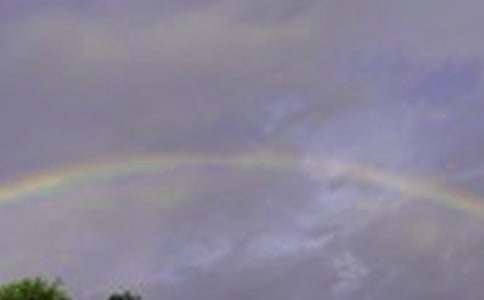 描寫雨后彩虹的作文