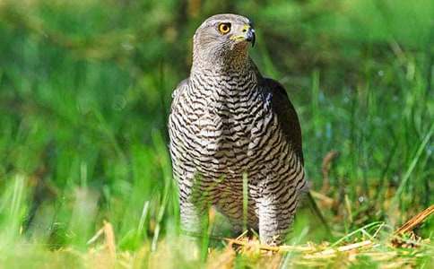 �n��������x��