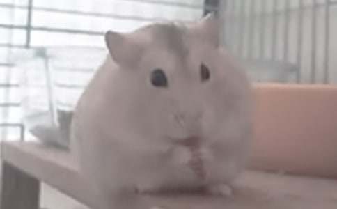 ���x�}������300��4ƪ