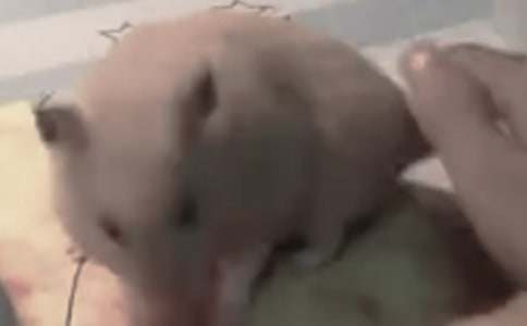 �ҵĂ}(c��ng)��С������1000�֣�ͨ��28ƪ��