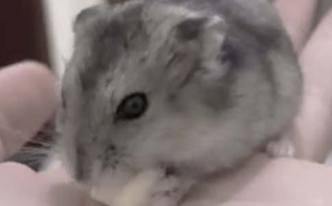 ��(xi��)С��(d��ng)��}(c��ng)������500��22ƪ