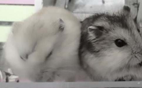 �}�����l(f��)�ļ�ͥ�L(f��ng)������