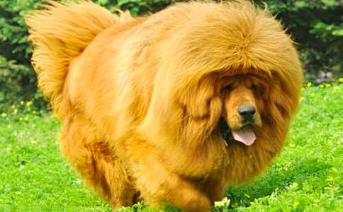 �^�������ӛ200��