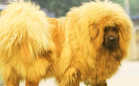 ��������400��9ƪ