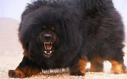 ��������600��6ƪ