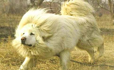 �P(gu��n)�ڲ�������300��3ƪ