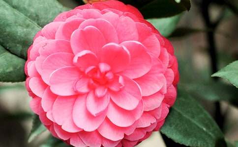 ɽ�軨����200��