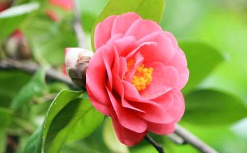 �^��軨����(9ƪ)