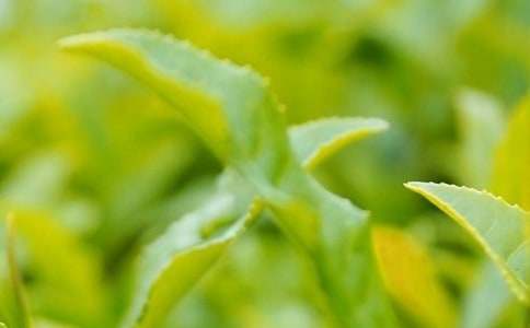 �^����~����(7ƪ)