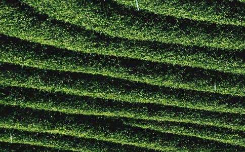 �����]�����~����500��4ƪ