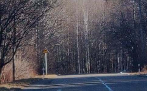 �L(zh��ng)��ɽ��صľ�ɫ����600��