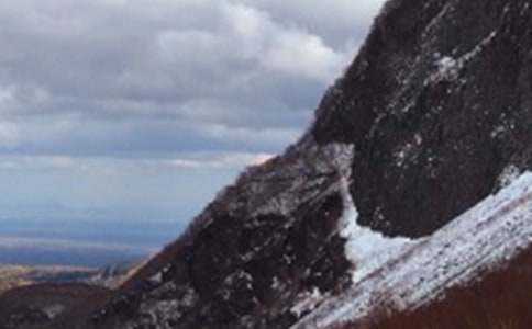 �������L��ɽ���ġ����T��