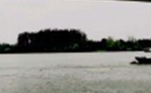 �L(zh��ng)����Ԋ(sh��)����~�Z(y��)