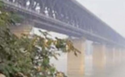 �P(gu��n)���L�����V�Z