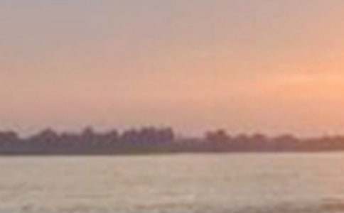 關(guān)于長(zhǎng)江作文300字(精選15篇)